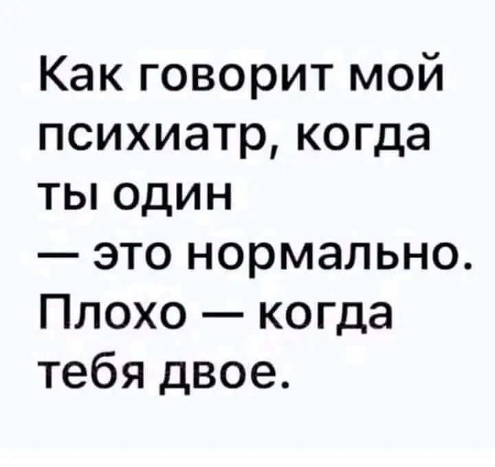 FB_IMG_1628240556264.webp