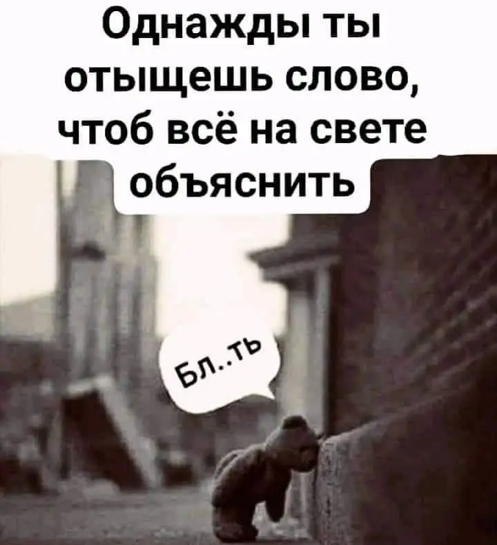 FB_IMG_1628251696690.webp
