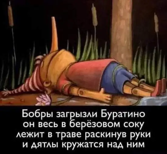 FB_IMG_1628351664061.webp