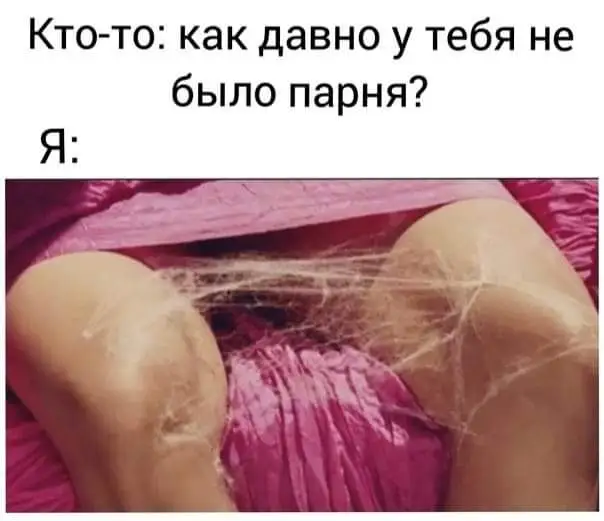 FB_IMG_1628351683405.webp