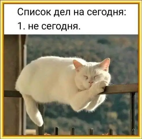 FB_IMG_1628406219039.webp