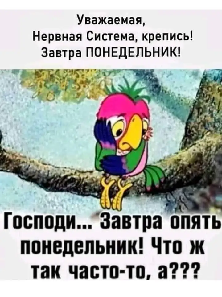 FB_IMG_1628446671850.webp