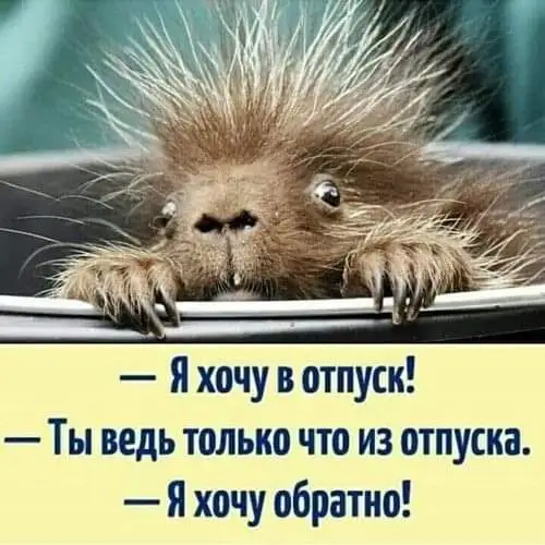 FB_IMG_1628502915489.webp