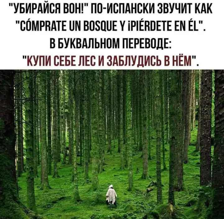 FB_IMG_1628547229632.webp