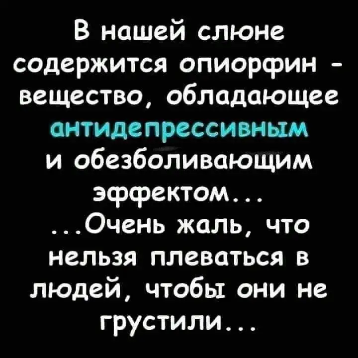 FB_IMG_1628578177284.webp