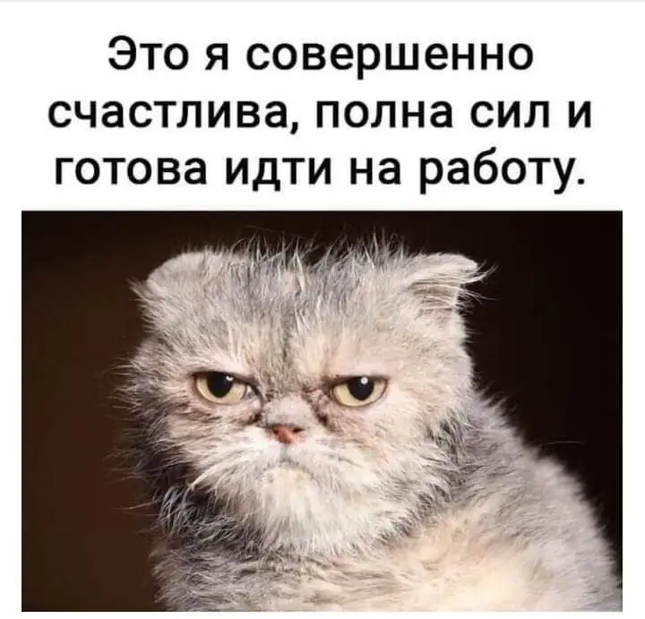 FB_IMG_1628588472475.webp
