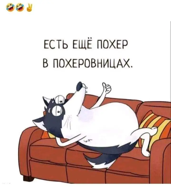 FB_IMG_1628597587474.webp