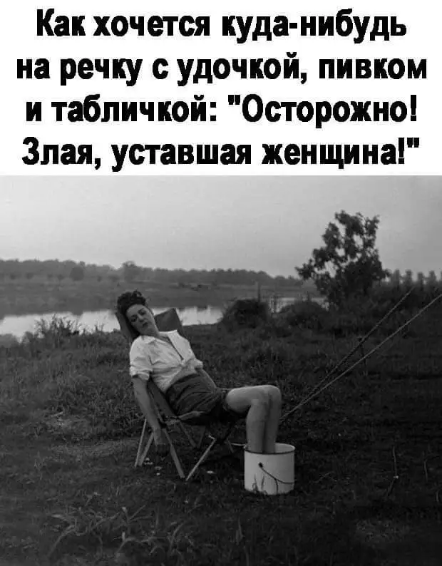 FB_IMG_1628668010949.webp