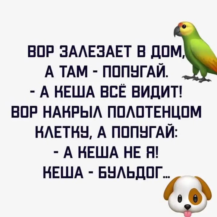 FB_IMG_1628719765168.webp