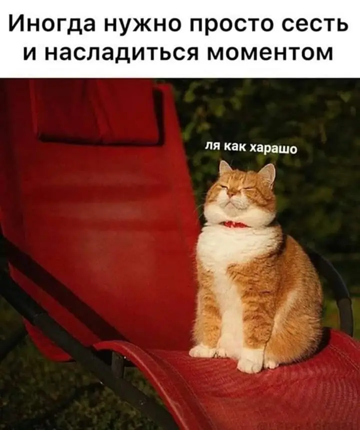 FB_IMG_1628747240094.webp