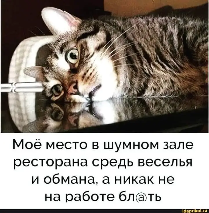 FB_IMG_1628767120903.webp