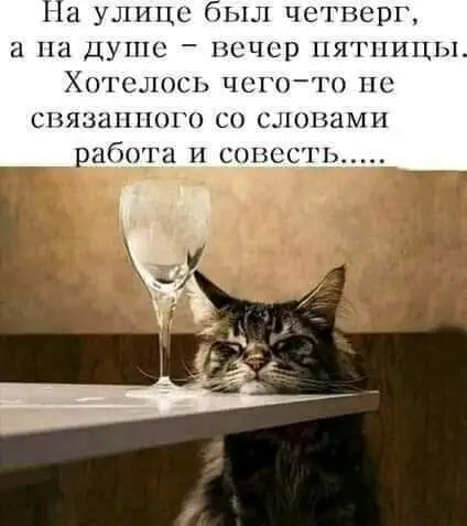 FB_IMG_1628786681053.webp