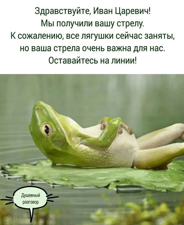 FB_IMG_1628852606119.webp