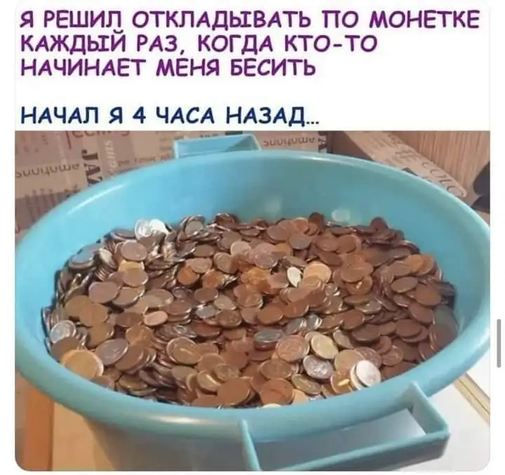 FB_IMG_1628865179071.webp