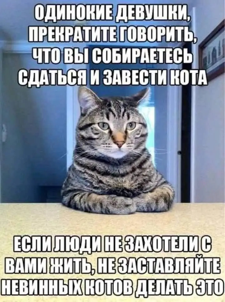 FB_IMG_1628892476337.webp