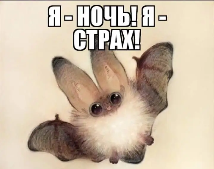 FB_IMG_1628927512322.jpg