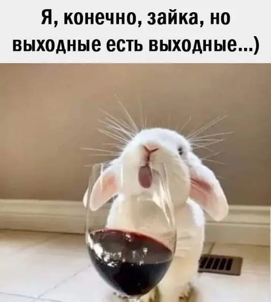 FB_IMG_1629053913896.webp