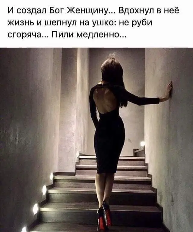 FB_IMG_1629056405117.webp