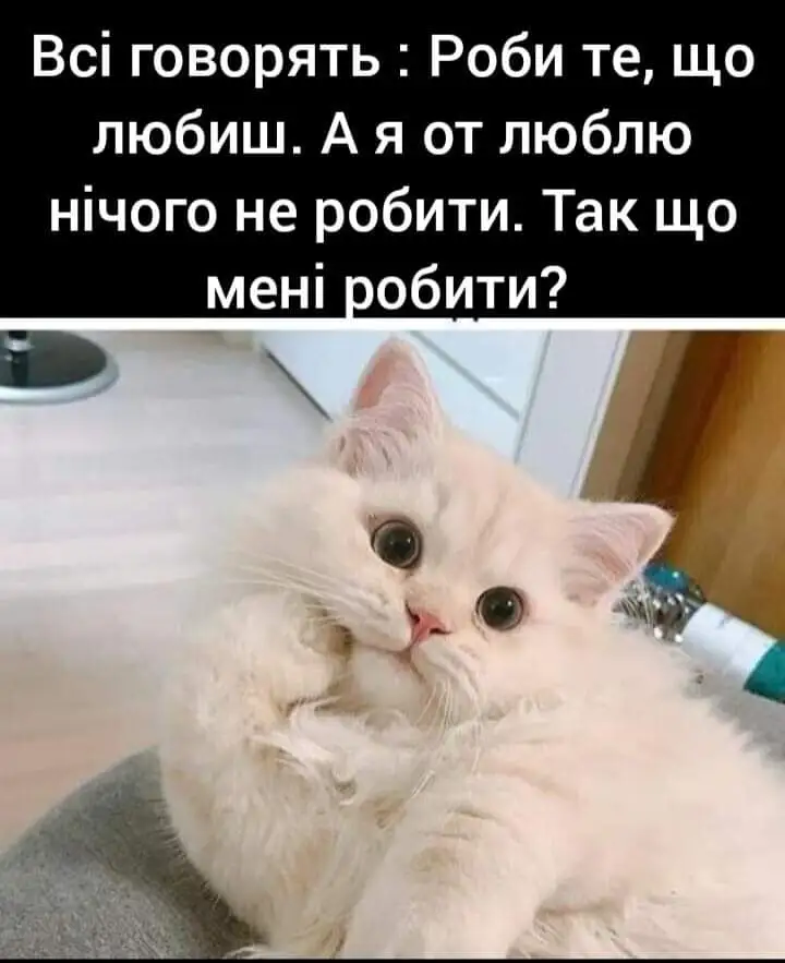 FB_IMG_1629122787636.webp