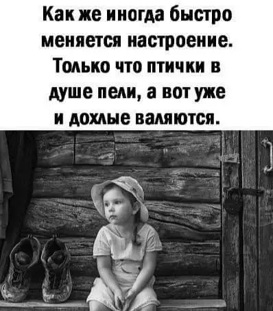 FB_IMG_1629122962607.webp