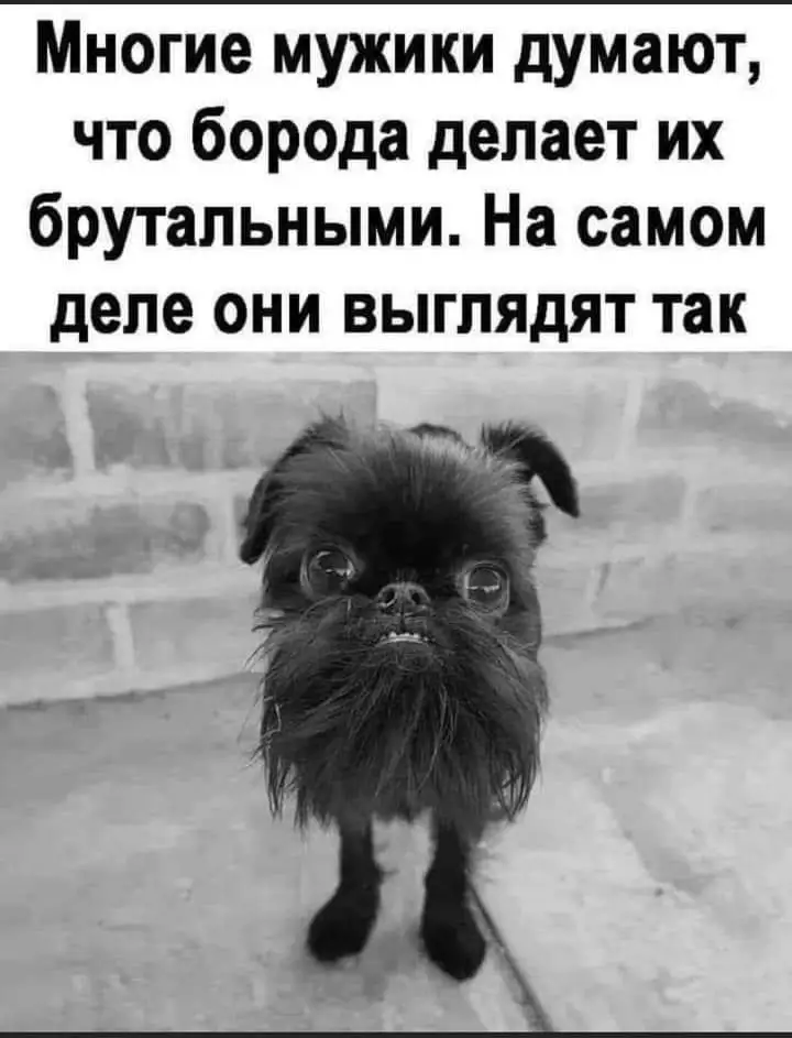 FB_IMG_1629123754980.webp
