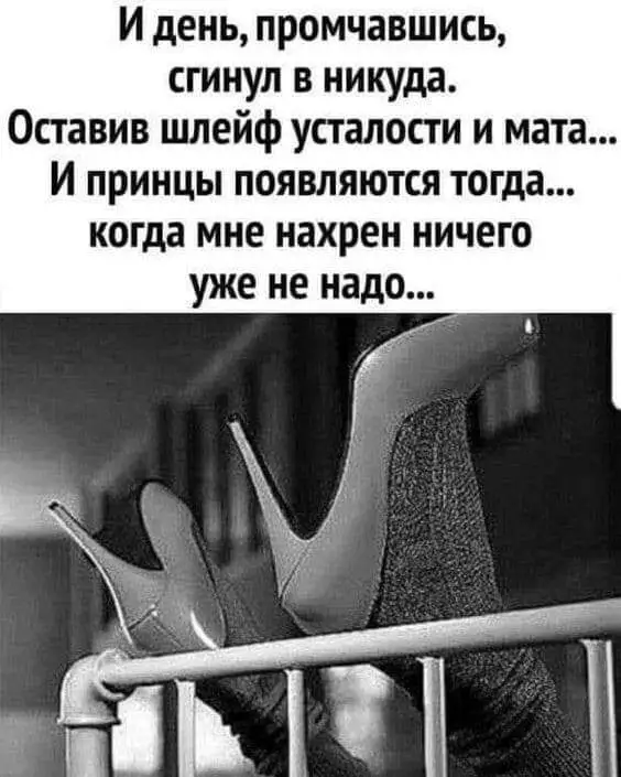 FB_IMG_1629172531713.webp