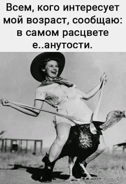 FB_IMG_1629190441409.webp