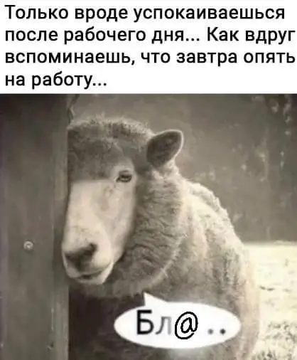 FB_IMG_1629190460613.webp