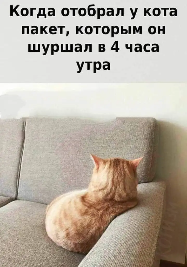FB_IMG_1629325381732.webp