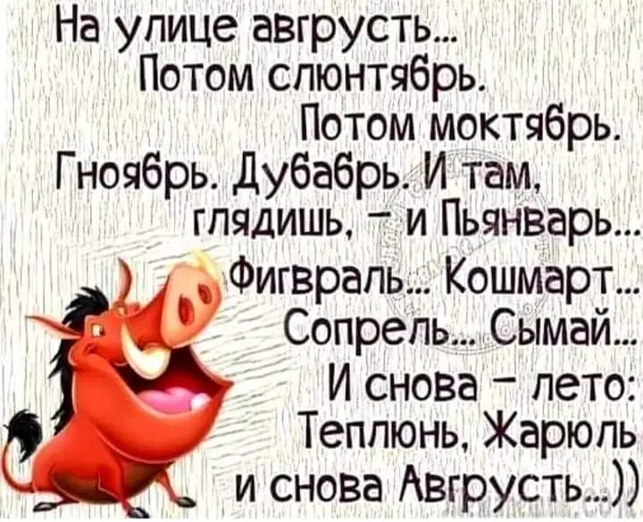 FB_IMG_1629367713739.webp