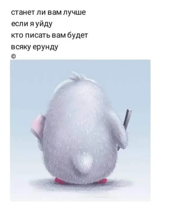 FB_IMG_1629378689889.webp