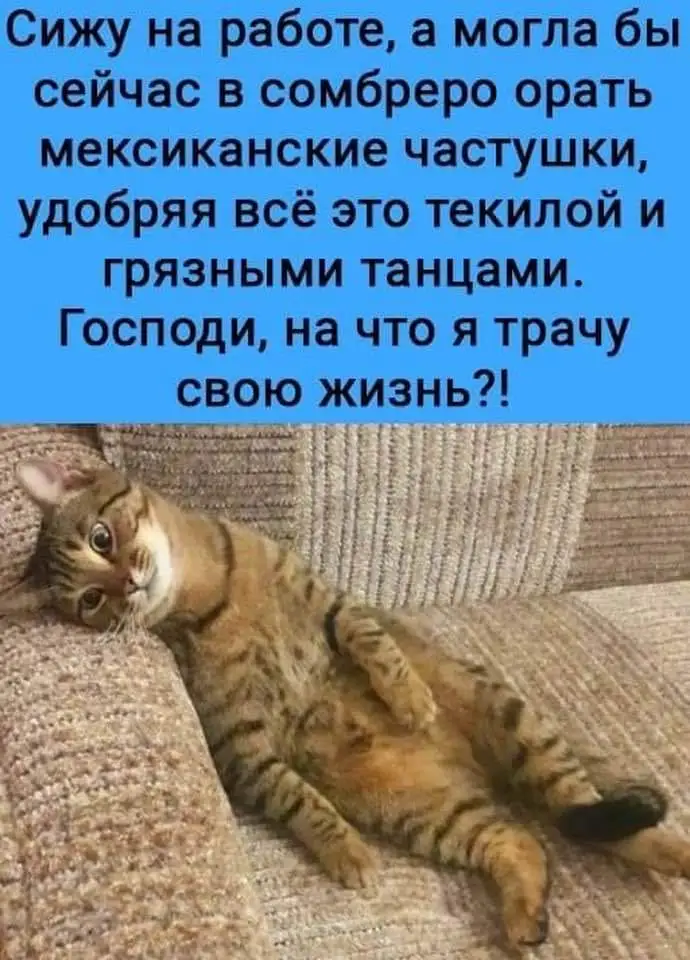 FB_IMG_1629429939873.webp