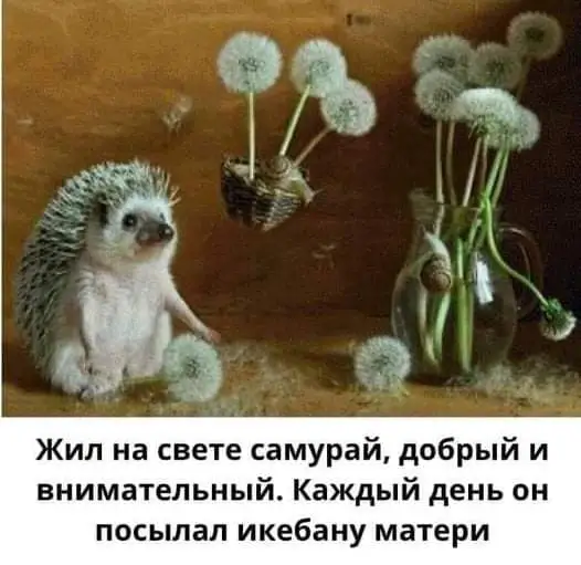 FB_IMG_1629478974319.webp
