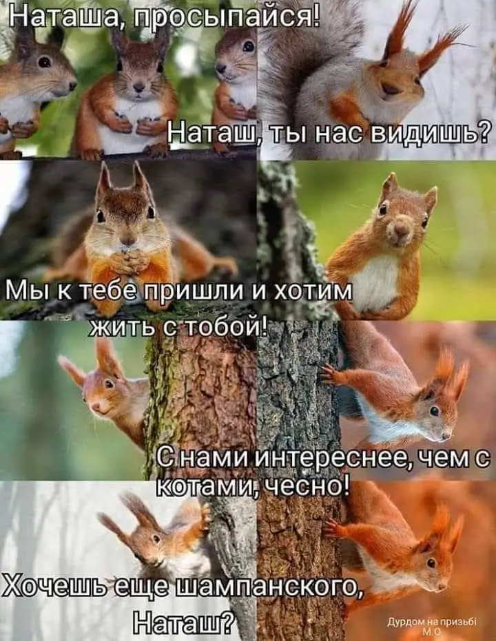 FB_IMG_1629485966955.webp