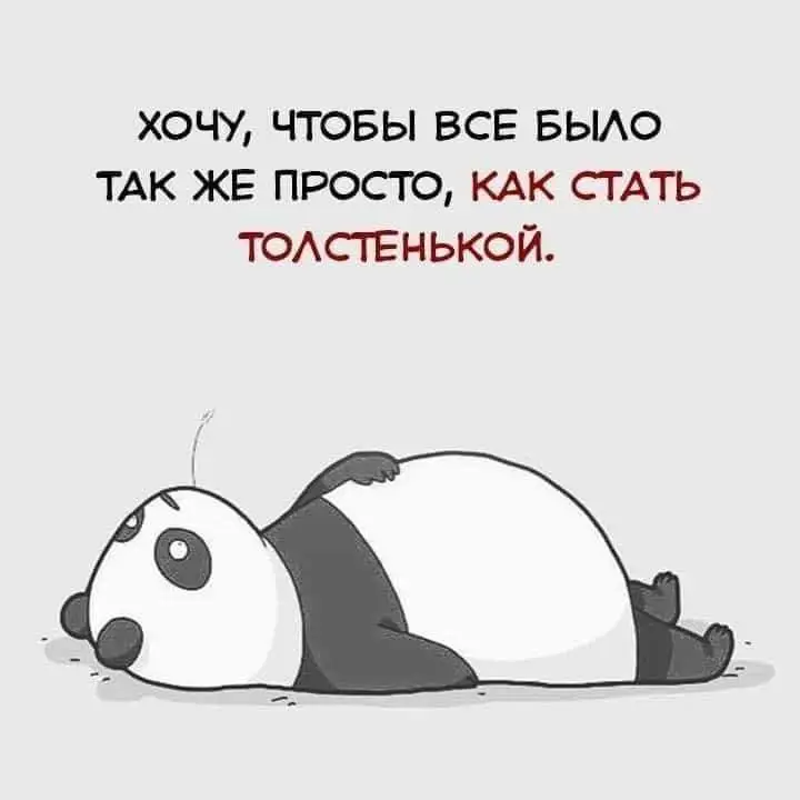 FB_IMG_1629578594298.webp