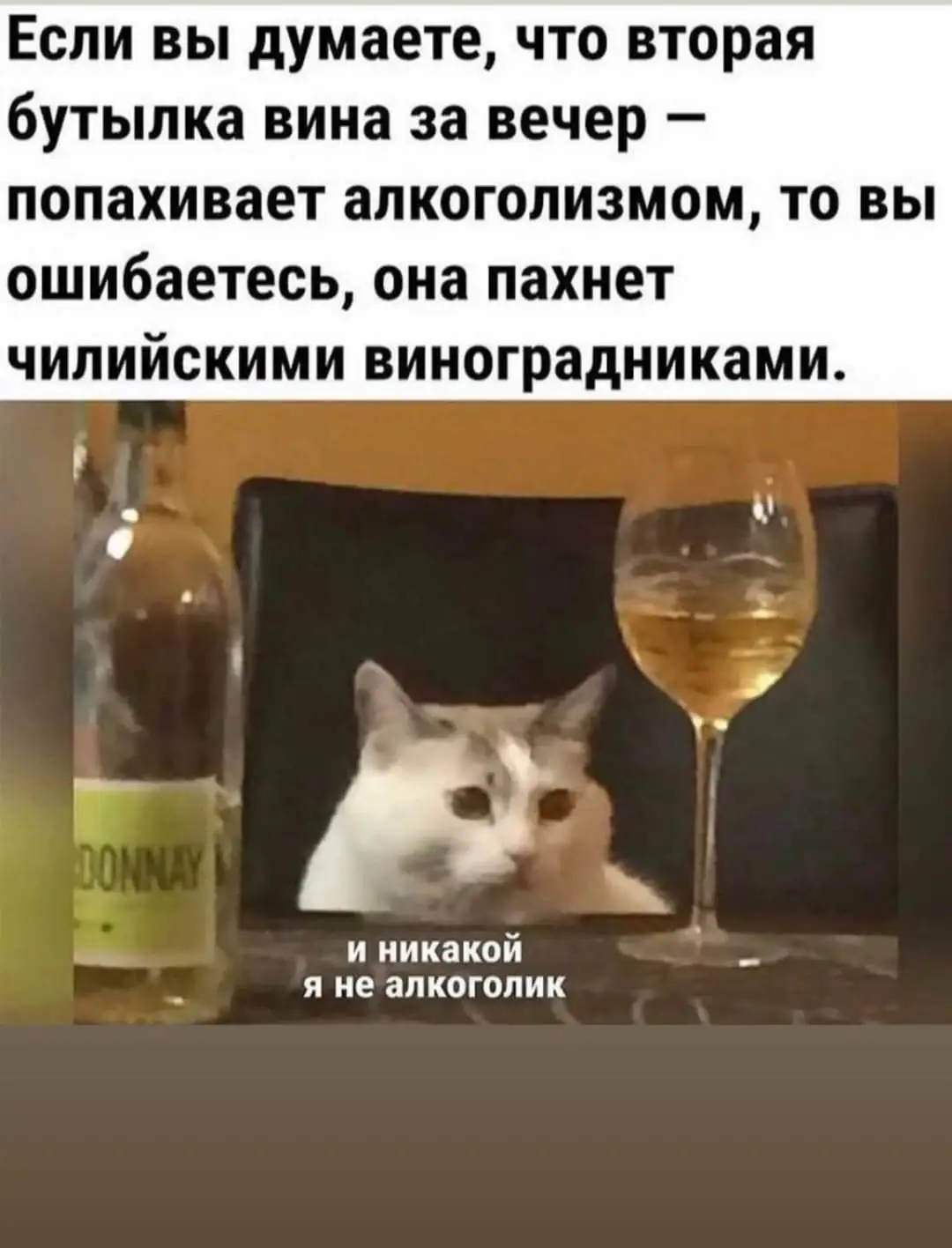FB_IMG_1629651860579.webp
