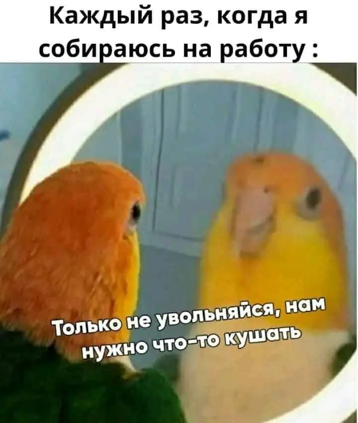 FB_IMG_1629708790017.webp