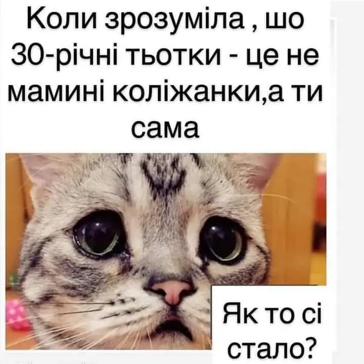 FB_IMG_1629709265915.webp