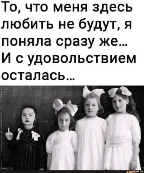 FB_IMG_1629736547846.webp
