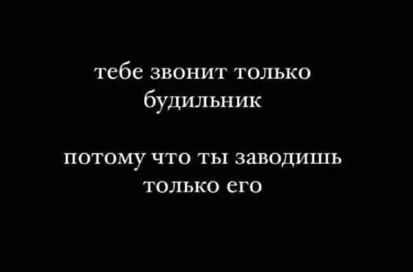 FB_IMG_1629748370929.webp