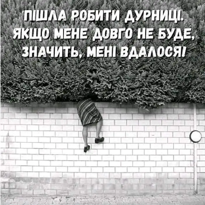 FB_IMG_1629916744847.webp