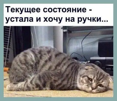 FB_IMG_1629965502433.webp