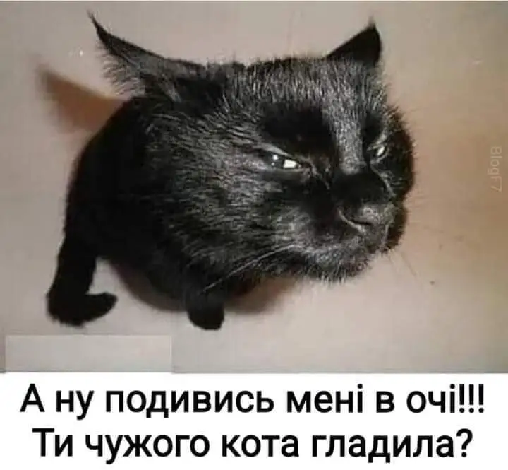 FB_IMG_1630225421274.webp