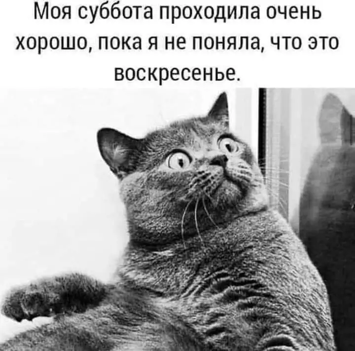FB_IMG_1630240738739.jpg
