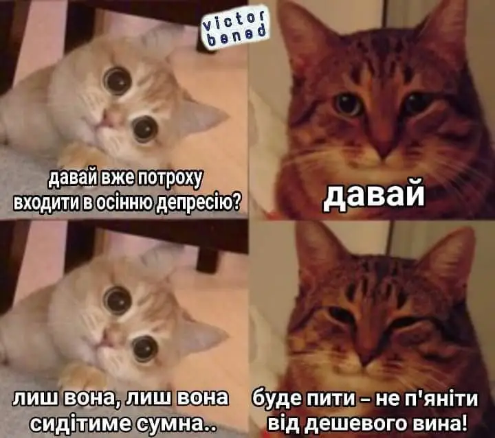 FB_IMG_1630262834932.webp