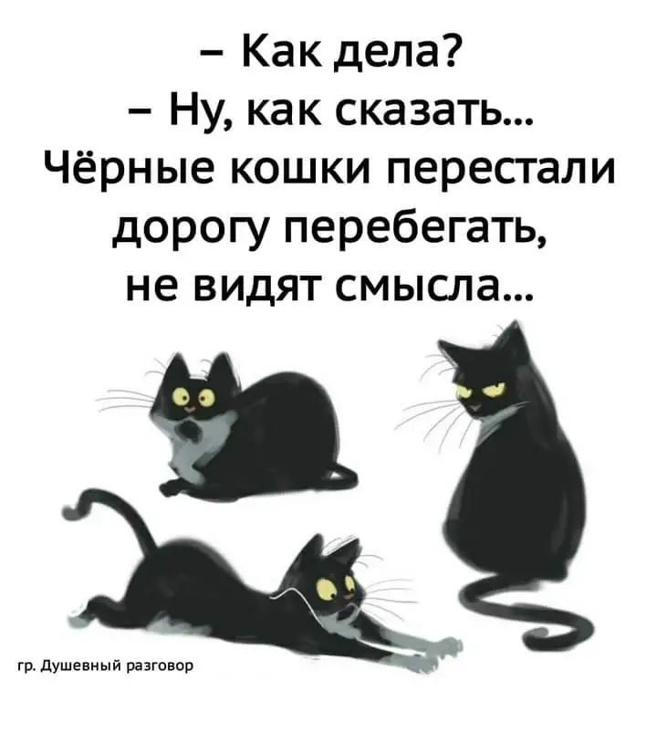 FB_IMG_1630313275803.jpg