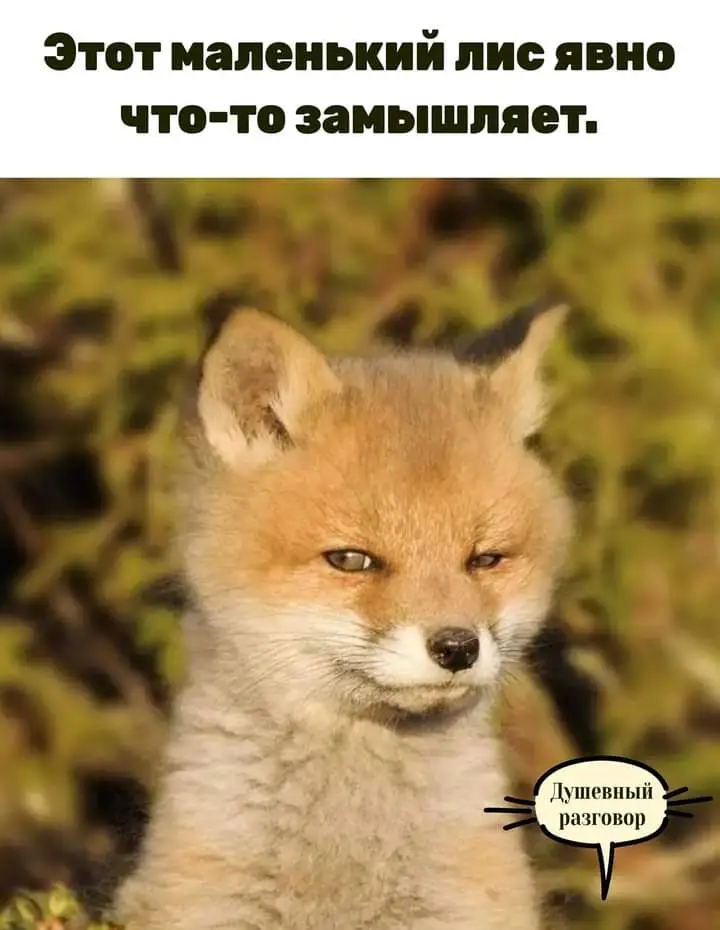 FB_IMG_1630314158695.webp