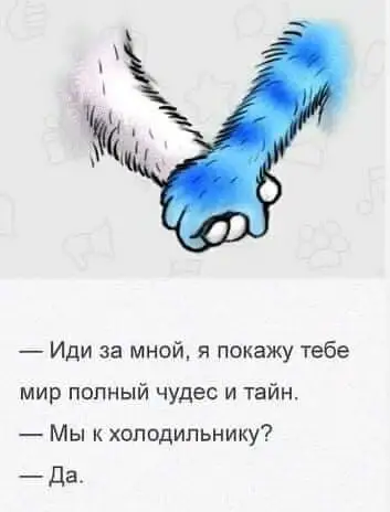 FB_IMG_1630357309960.jpg