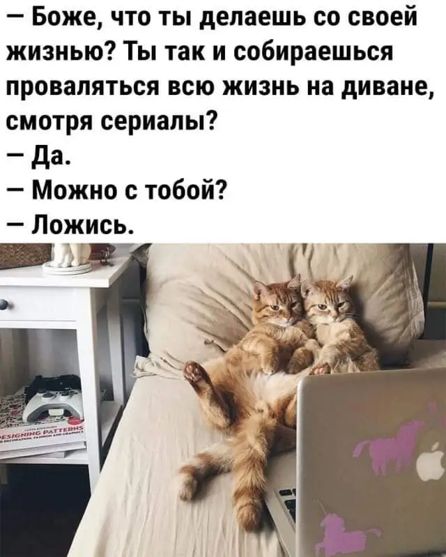 FB_IMG_1630427266545.webp