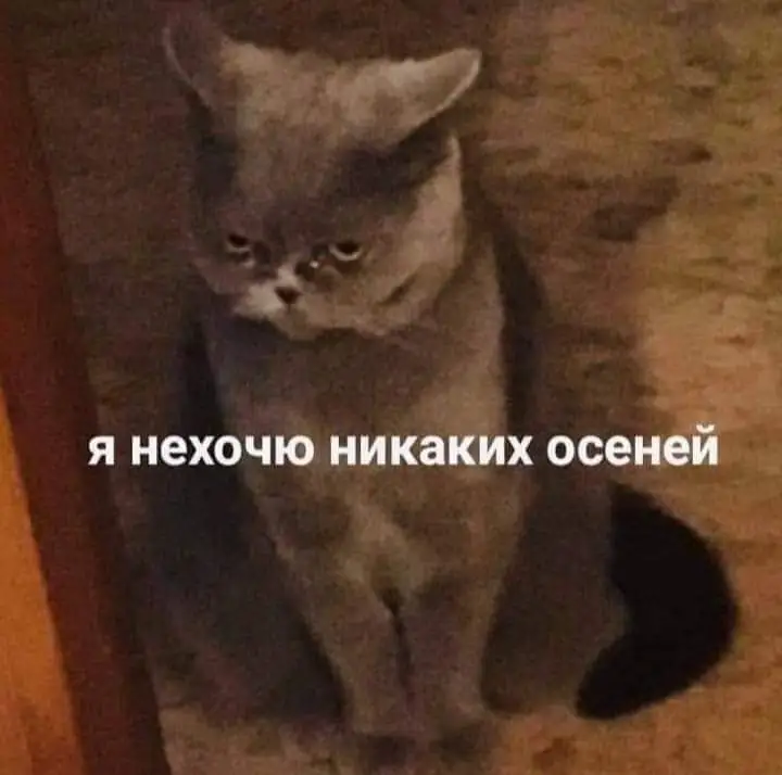 FB_IMG_1630435929200.jpg